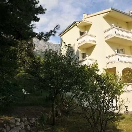 Guest house Star 4*